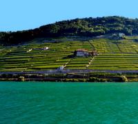 Женевское озеро - рай для любителей изысканного отдыха
